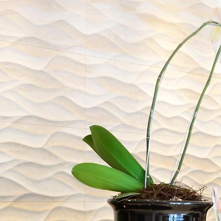 Kitara Hotel Jakarta Eksteriør bilde